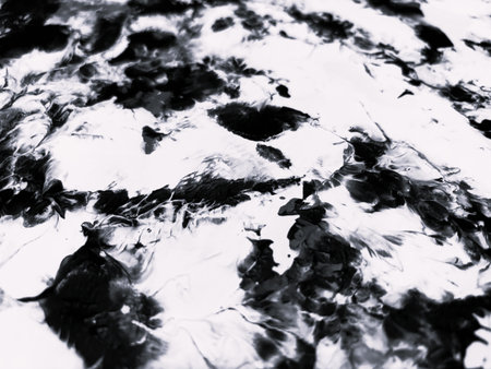 Close Up Black and White Colors Fluid Pouring Abstract Art Acrylic Painting Texture Backgroundの写真素材
