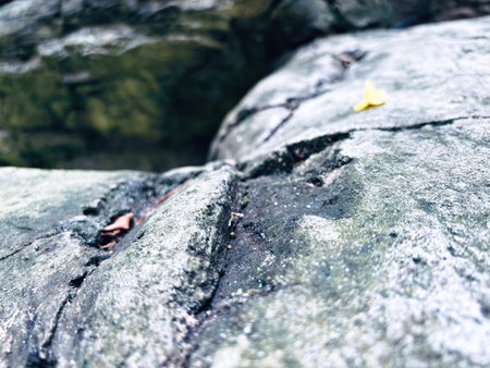 Stone in Natural Nature Texture Backgroundの写真素材