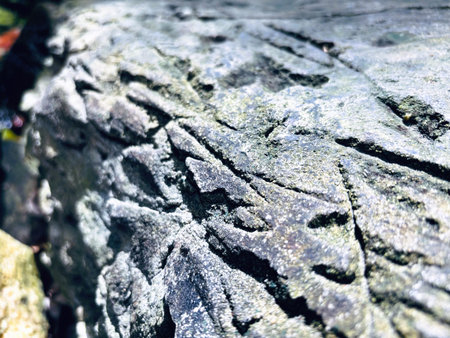Stone in Natural Nature Texture Backgroundの写真素材