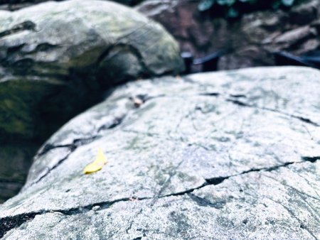 Stone in Natural Nature Texture Backgroundの写真素材