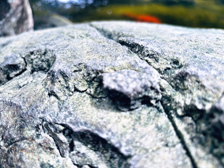 Stone in Natural Nature Texture Backgroundの写真素材