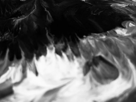 Close Up Black and White Colors Fluid Pouring Abstract Art Acrylic Painting Texture Backgroundの写真素材