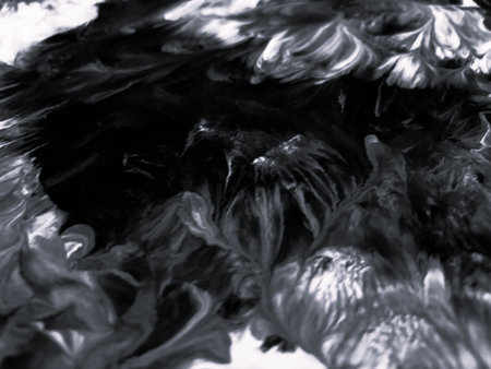 Close Up Black and White Colors Fluid Pouring Abstract Art Acrylic Painting Texture Backgroundの写真素材