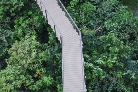 Wooded bridge in parkの写真素材
