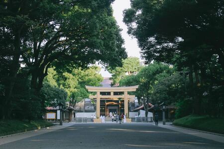 Path to Meiji-jingu shrineのeditorial素材