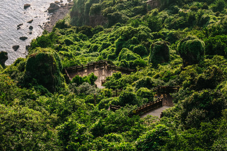 Stairs to climb Seongsan mountain in Jeju Island, South Korea.の写真素材