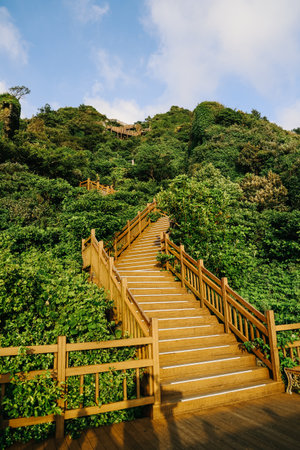 Stairs to climb Seongsan mountain in Jeju Island, South Korea.の写真素材