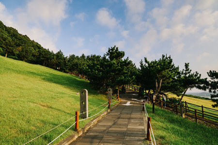 View from Seongsan Ilchulbong mountain in Jeju Island, South Korea.の写真素材