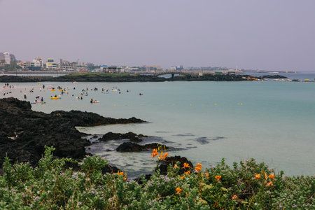 Jeju Island, South Korea - July 10, 2022: Many people are splash at hamdeok beach in summer, Jeju Island, South Korea.の写真素材