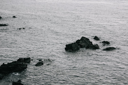 Yongduam Rock. Yongduam is a dragon head-like rock and one of the famous attraction in Jeju city.の写真素材