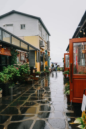 Jeju island, South Korea - July 11, 2022 : The famous cafe Bomnal in Jeju island.のeditorial素材