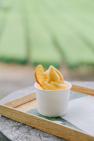 Tangerine ice cream in a white cup.の写真素材