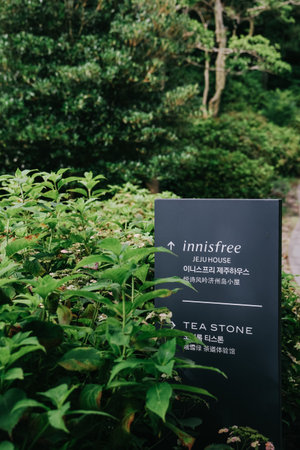 Jeju, South Korea - July 11, 2022: Innisfree Jeju House in summer. It's a flagship store and cafe in Jeju Island, where you can experience and purchase Innisfree cosmetic products.のeditorial素材