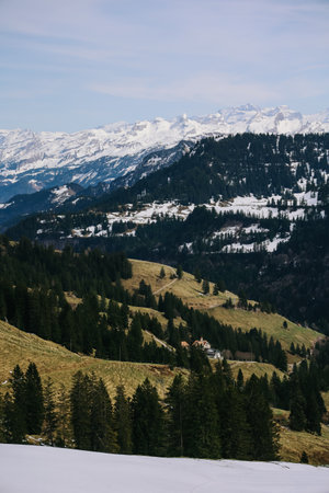 Beautiful nature view beside the railway seen from Rigi bahn cogwheel train on the way from Arth town to Rigi Kulm in Switzerland.の写真素材
