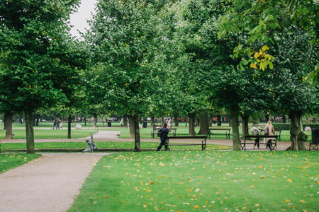 The King's Garden in central Copenhagen city on rainy day.の写真素材