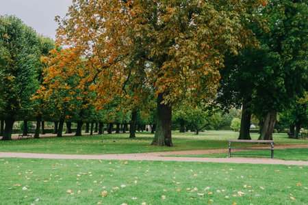 The King's Garden in central Copenhagen city on rainy day.の写真素材