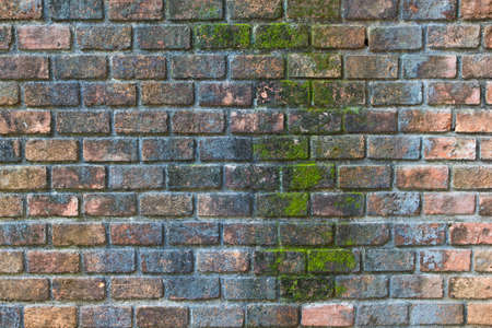 Old brick wall and algae stainsの写真素材