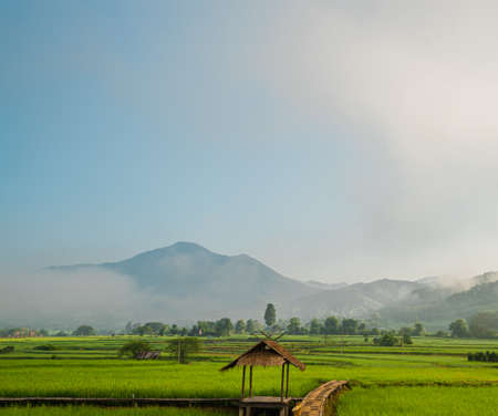 Landscape photo of wooden pavilion in the green rice fields on a cloudy day. There are old bamboo footpaths and brightly colored clothing skewers. The concept of rainy season agriculture in Thailand.の写真素材