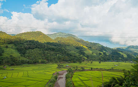 High angle view of green rice fields with different curves in the rainy season, Thailand. There is a river flowing through middle of the land and green forest behind. Idea for countryside background.の写真素材