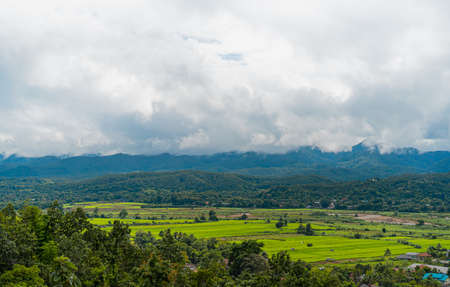 High angle view of green rice fields with different curves in the rainy season, Thailand. There is a river flowing through the land and green forest behind. Idea for countryside background.の写真素材