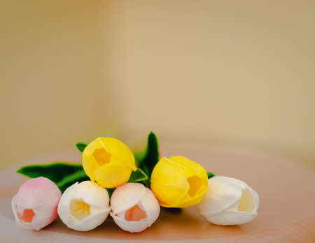 Colorful artificial tulips are white, yellow, and pink colors placed on a light brown wooden chair. The backdrop in the corner of the yellow color room, soft, bright, and clean with a soft tone.の写真素材