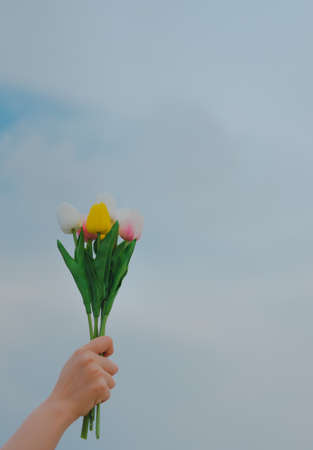 A woman's hand holding a bouquet of pink, white, and yellow tulips held in the sky. The background is bright pastel skies and beautiful white clouds. Feel fresh and happy. There is a copy area space.の写真素材