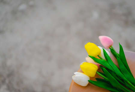 Colorful artificial tulips are white, yellow, and pink colors placed on a light brown wooden chair. The background is old grunge gray cement in a soft tone. There is a copy space on the left and top.の写真素材