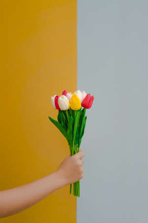 The hand of a woman holding a bouquet of red, yellow, pink, and white tulips artificial with contrasting yellow and gray background. Ideas for freshness, happiness, and fashion. There is a copy space.の写真素材