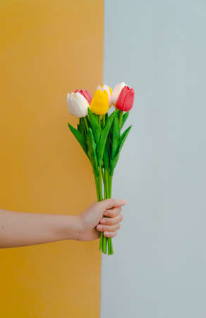 The hand of a woman holding a bouquet of red, yellow, pink, and white tulips artificial with contrasting yellow and gray background. Ideas for freshness, happiness, and fashion. There is a copy space.の写真素材