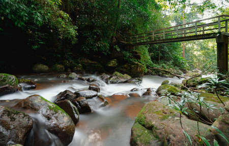 Landscape photo of a river flowing smoothly in the forest. There are many rocks with moss in the river and trees along the waterfront. There is old iron bridge passing. The water is clean and clear.の写真素材