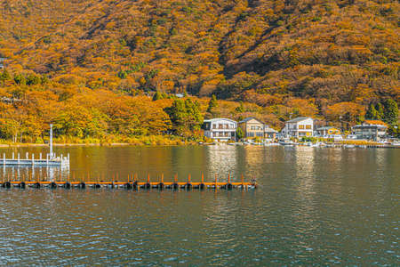 Landscape photo of port and many house with leaves turning orange, yellow, green in autumn, Japan. There is a lake in soft tones. There is shimmering light that creates warm tone. There is copy space.の写真素材