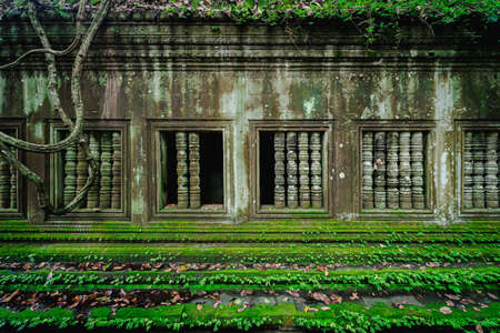 Front view of a large old gray cement wall with window and balustrades with moss and green ferns...