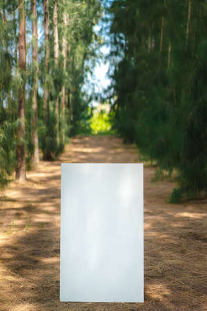 A view of the empty square white sign set in a lush green pine garden on both sides of the picture and walkway in the middle. There was sunlight shining in, creating a warm light. There is copy space.の写真素材