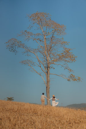 Woman and man holding hands in a golden yellow meadow. The backdrop is a tree in the middle with a blue sky. Feelings of love and romance. Ideas for Valentine's Day wallpaper with copy space.の写真素材