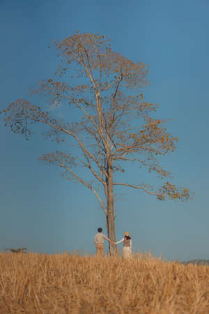 Woman and man holding hands on a golden yellow meadow. The backdrop is a tree in the middle with a blue sky. Feelings of love and romance. Ideas for Valentine's Day wallpaper with copy space.の写真素材