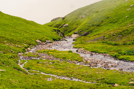 A lush green hill with lots of yellow flowers in Bhrigu Lake Trek route, Manali, India. There is a clear stream running through the middle and there are lots of rocks. Feeling fresh and free.の写真素材