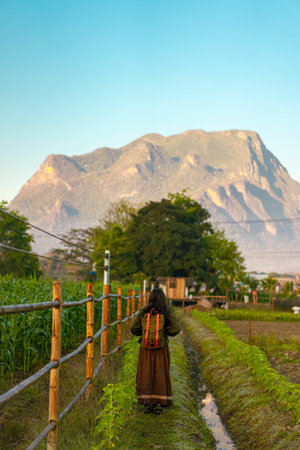 Photo from the back of a woman standing on green grass on a farm. There is a long wooden fence along the walkway. There is a cornfield on right.の写真素材