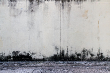 Dirty crack wall with mossの写真素材