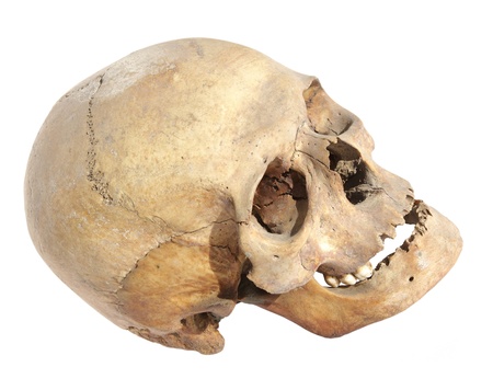 Old skull of a man who lived in the past centuryの写真素材