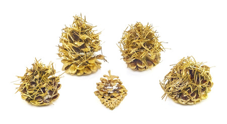 golden cones with fir needles on white background