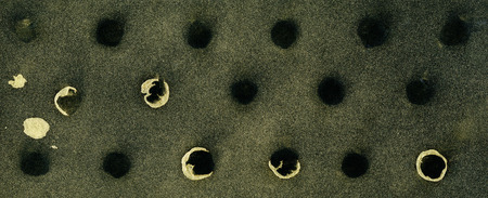 modern artistic with black holes golden blots and glitterの写真素材