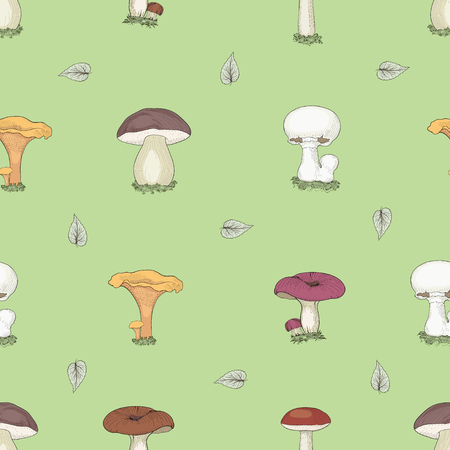 Hand drawn edible mushrooms seamless pattern. Vintage engraving style. Colorful illustration.のイラスト素材
