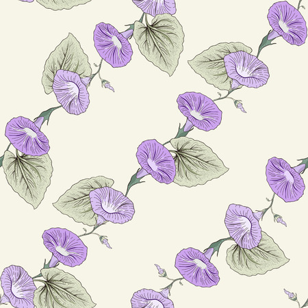 Hand drawn bindweed seamless pattern. Colorful illustration. Vintage engraving styleのイラスト素材