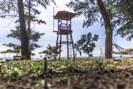 watchtower side of beach with tree and clear skyの写真素材