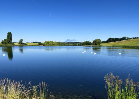 Idyllic landscape image of a lake with swans swimming in itの写真素材