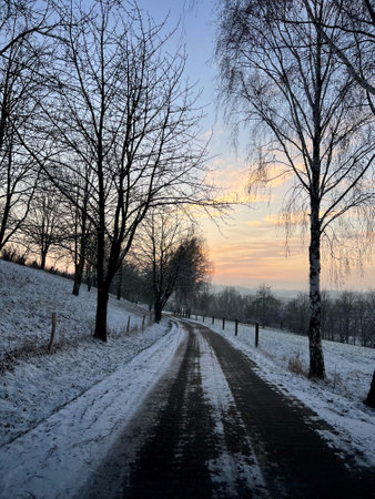 Winter road in the countryside with trees in the background at sunset.の写真素材