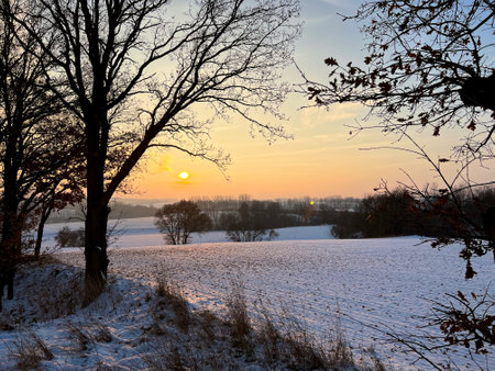 Beautiful winter sunset in the countryside with trees and snow-covered fieldsの写真素材