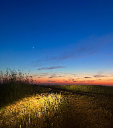 sunset over a field with grass and a moon in the skyの写真素材