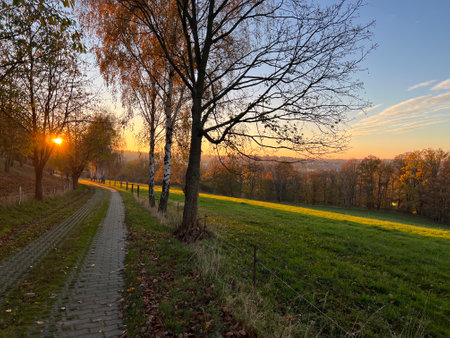 Autumn landscape with road and trees at sunset. Poland, Europe.の写真素材
