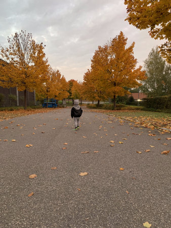Boy riding a roller skates in the autumn park on a cloudy dayの写真素材